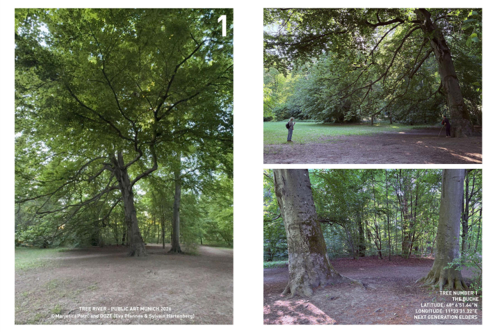 Drei Fotos einer großen Buche im Wald, beschriftet als „Tree Number 1 – The Buche" des Projekts „Tree River – Public Art Munich 2026".
